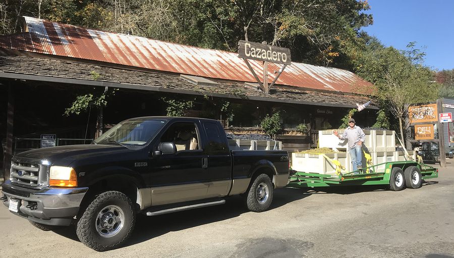 Frank hauling just-picked grapes past the Cazadero General Store