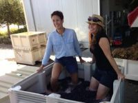 Foot stomping the grapes