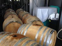 Barreling down Cazadero Chardonnay for fermentation