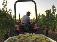 John Bei on tractor with 2019 Bei Ranch Chardonnay for Cazadero Winery