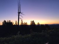 Dawn at Bei Ranch