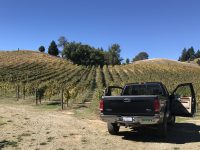 Parmeter Vineyard