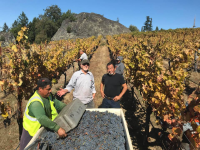 Bei Ranch Harvest