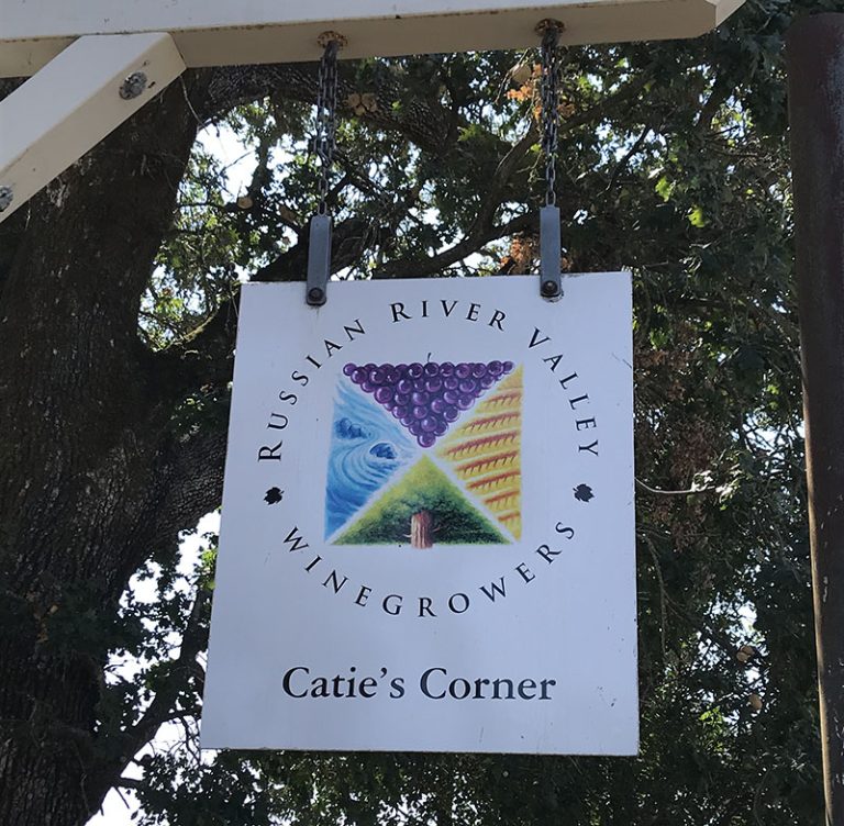 Catie's Corner Vineyard